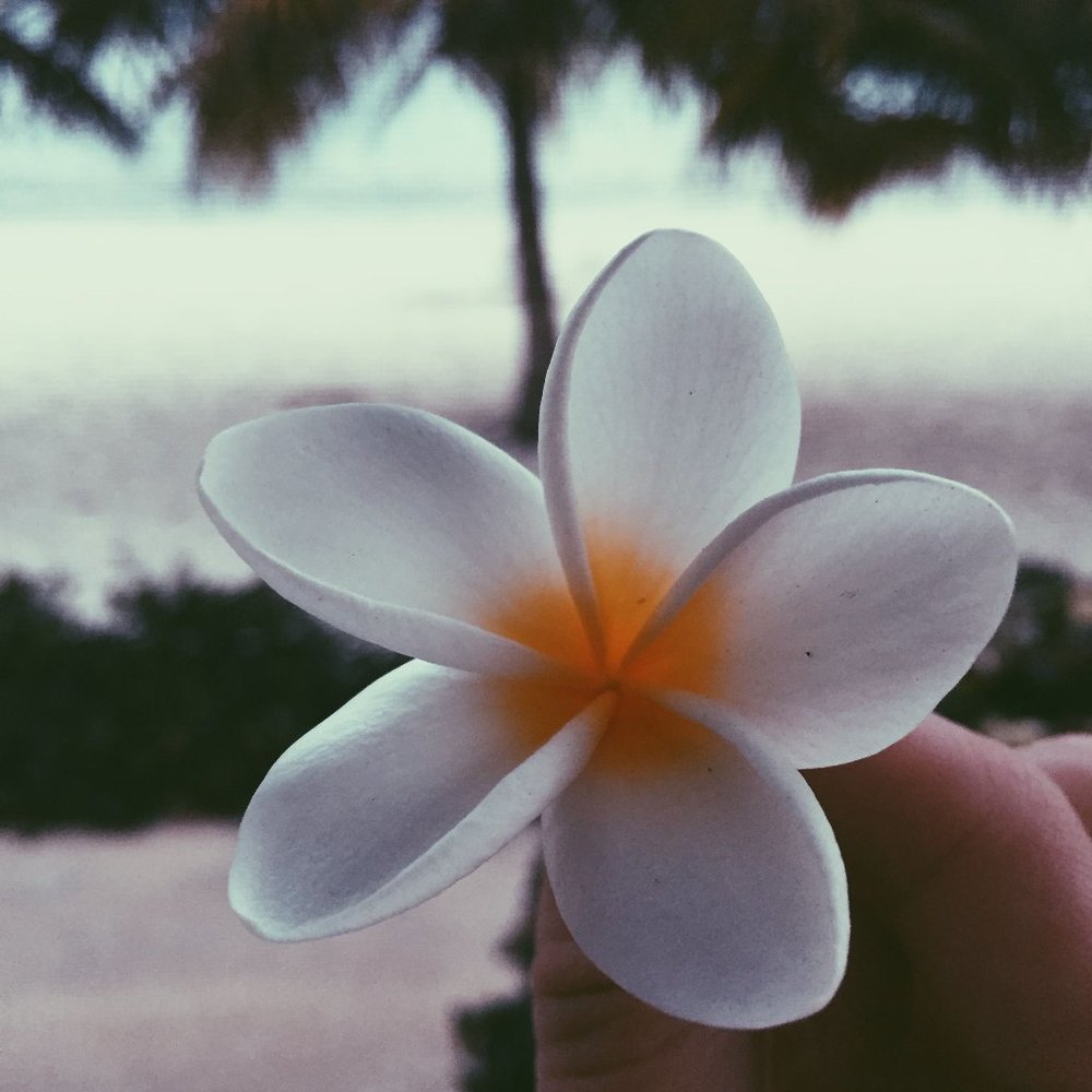 Meet your Posher, Elle’s Closet.